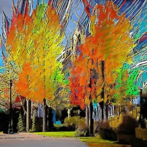 Artistic representation for 10 second citie you should consider visiting this fall – Longmont Times - Call for content. ## Proposed Title **Fall in Love with Long