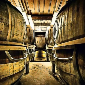 Artistic representation for Fermentation On the Mind - WineMakerMag . com ##