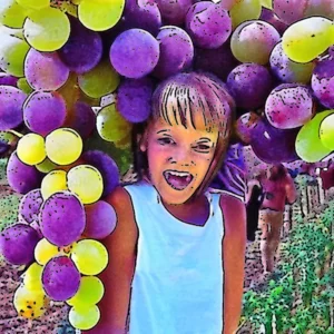Artistic representation for Grape Day Festival this Saturday - Escondido Times - Advocate ##