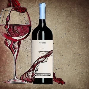 Artistic representation for Wine expert wins global award for Italian wine book