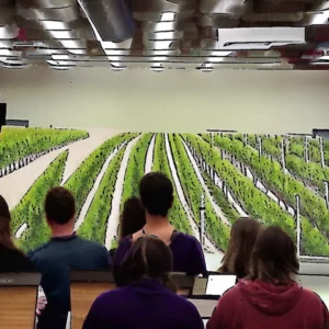 Artistic representation for Students earn credits learning the wine industry's secrets.