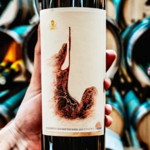 Artistic representation for 32 underrated wines to try if you like to explore different tastes.