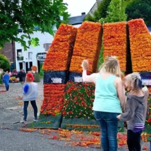 Artistic representation for Waterford gears up for annual Harvest Festival  - News - Waterford News & Star Here are some title options: * Waterford's Harvest Festival: A Celebration