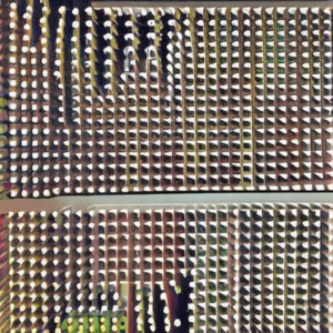 Artistic representation for How have things changed ? A brief history of wine regulations in the USA