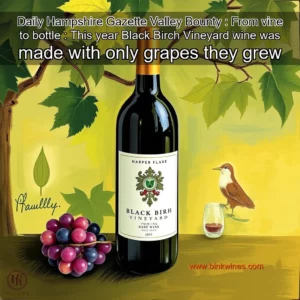 Artistic representation for Daily Hampshire Gazette Valley Bounty : From vine to bottle : This year Black Birch Vineyard wine was made with only grapes they grew