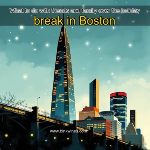 Artistic representation for What to do with friends and family over the holiday break in Boston