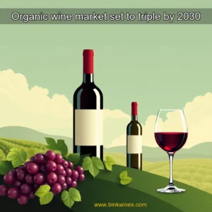 Artistic representation for Organic wine market set to triple by 2030