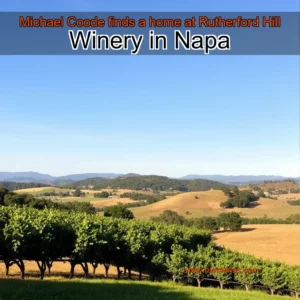 Artistic representation for Michael Coode finds a home at Rutherford Hill Winery in Napa