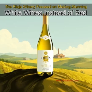 Artistic representation for The Rioja Winery Focused on Making Stunning White Wines Instead of Red