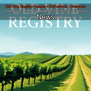 Artistic representation for Old Vine Registry Passes 4 000 entries : Vineyards planted in 1990 now eligible for inclusion National News