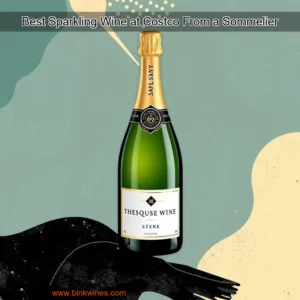 Artistic representation for Best Sparkling Wine at Costco From a Sommelier