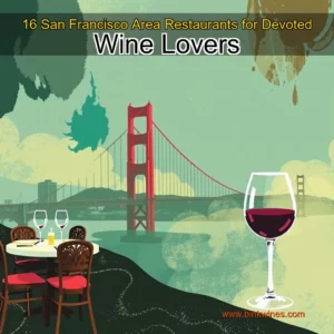 Artistic representation for 16 San Francisco Area Restaurants for Devoted Wine Lovers