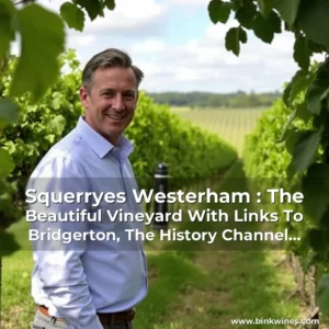 Artistic representation for Squerryes Westerham : The Beautiful Vineyard With Links To Bridgerton, The History Channel And The Royal Family. Watch Now On Youtube.