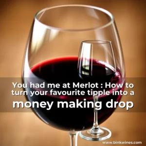 Artistic representation for You had me at Merlot : How to turn your favourite tipple into a money making drop