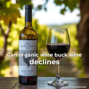 Artistic representation for Can organic wine buck wine declines