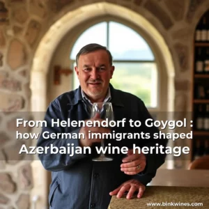 Artistic representation for From Helenendorf to Goygol : how German immigrants shaped Azerbaijan wine heritage