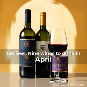 Artistic representation for Review : Nine wines to drink in April