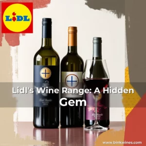 Artistic representation for Lidl's Wine Range: A Hidden Gem