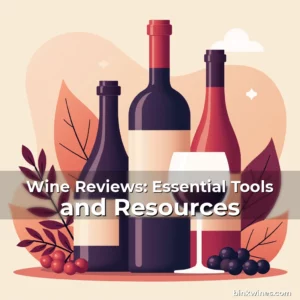 Artistic representation for Wine Reviews: Essential Tools and Resources