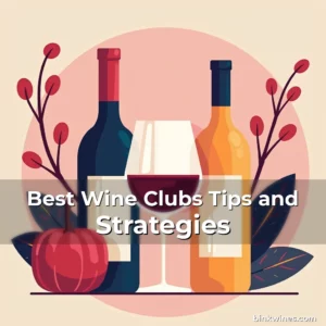 Artistic representation for Best Wine Clubs Tips and Strategies